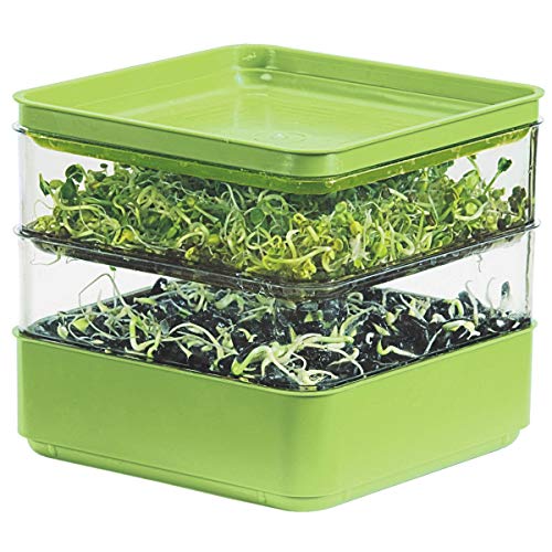 Best image of sprouting kits